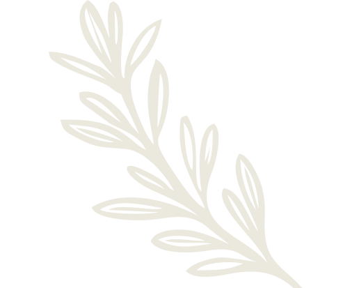 Διακοσμητικό στοιχείο του λογοτύπου στο Thyme Timeless stay στη Σίφνο